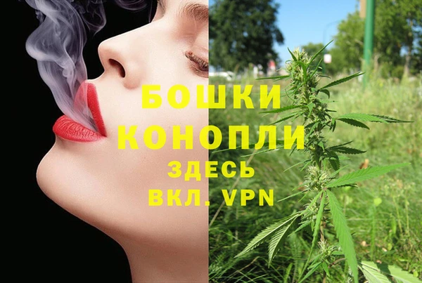 первитин Лиски