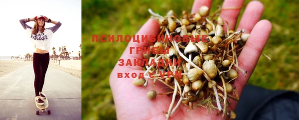 первитин Лиски
