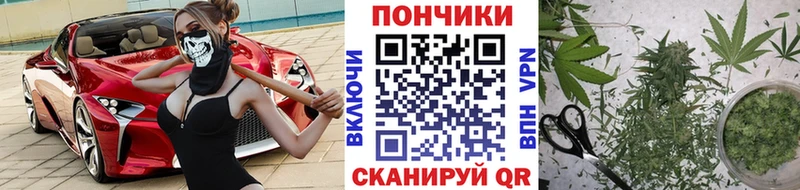 Канабис гибрид Суджа